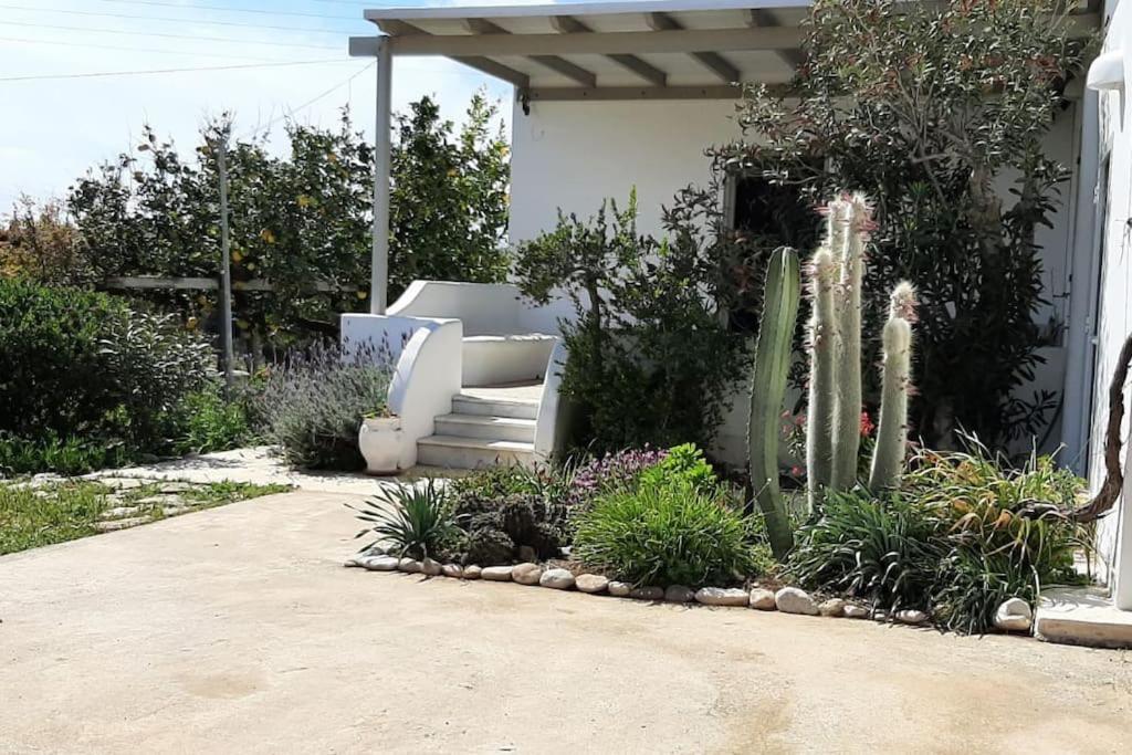 Gardenparadise Sifnaios In Paros Villa Exteriör bild