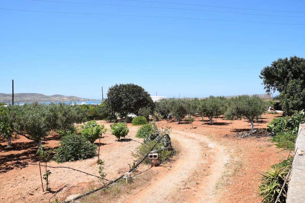 Gardenparadise Sifnaios In Paros Villa Exteriör bild